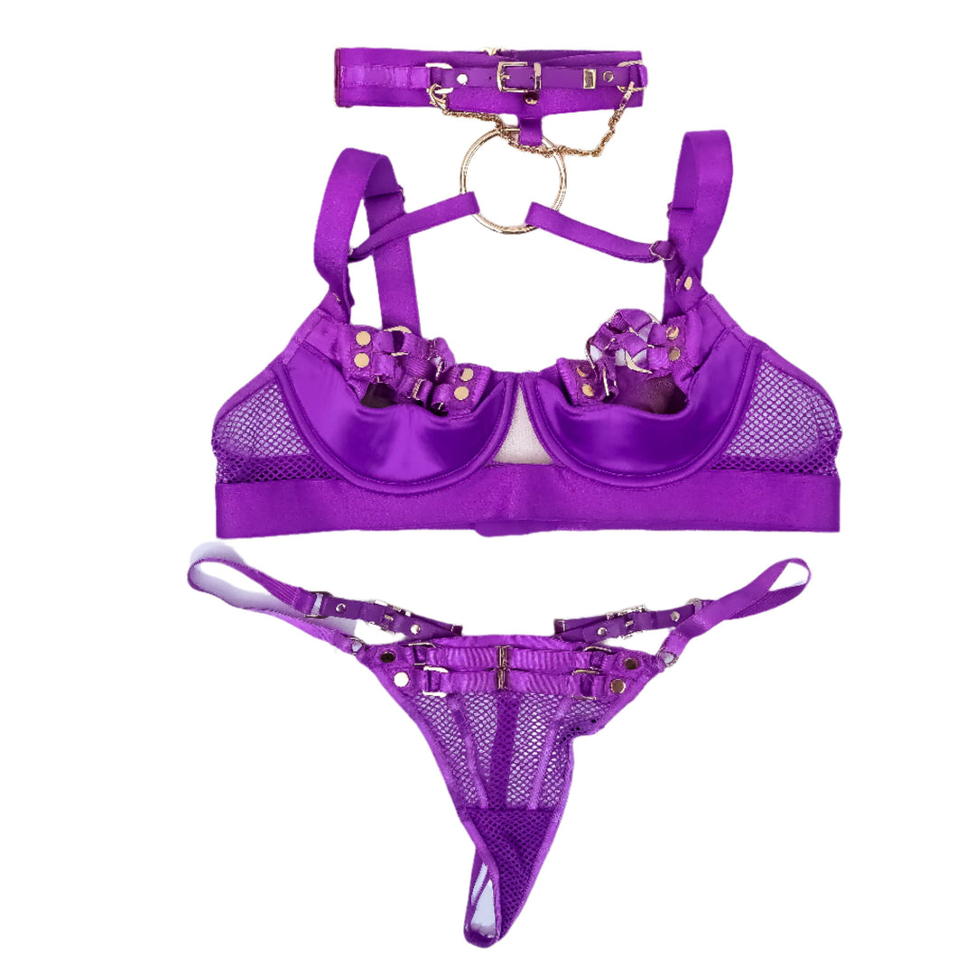 Nicole Aria Magenta HB Bra & Panties Set