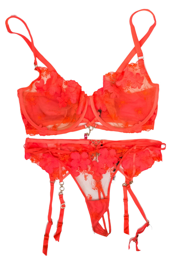 Ashlyn Peaks Neon Pink HB Lingerie Set