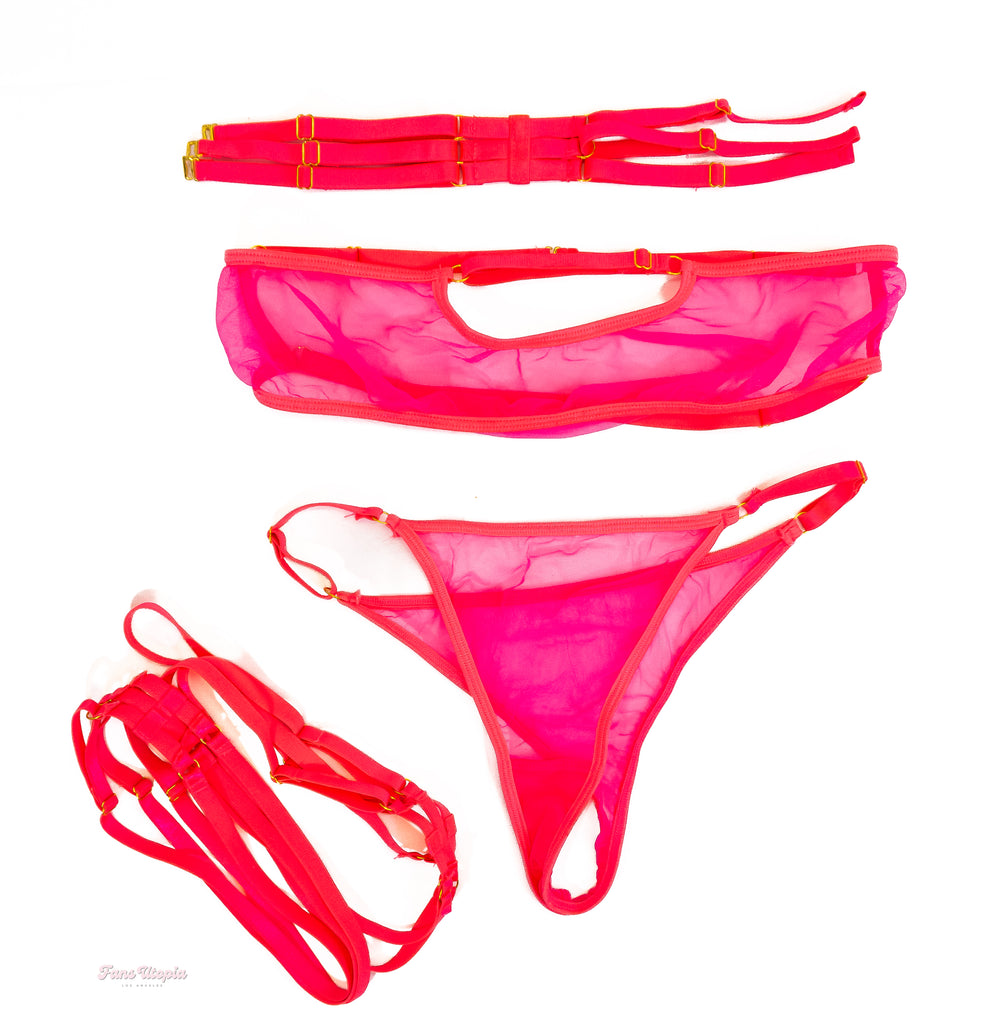 Hayley Davies Hot Pink Strapless Mesh Lingerie Set - FANS UTOPIA