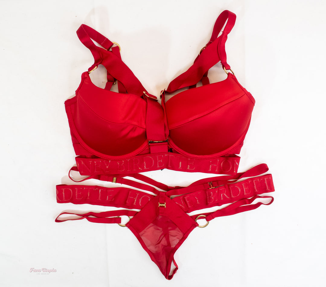 Siri Dahl Red HB Bra & Panties Set