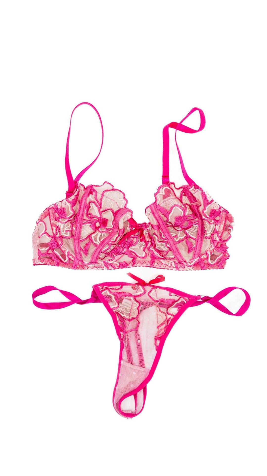 Alexa Payne Pink & Light Pink Bra & Panty Set - FANS UTOPIA