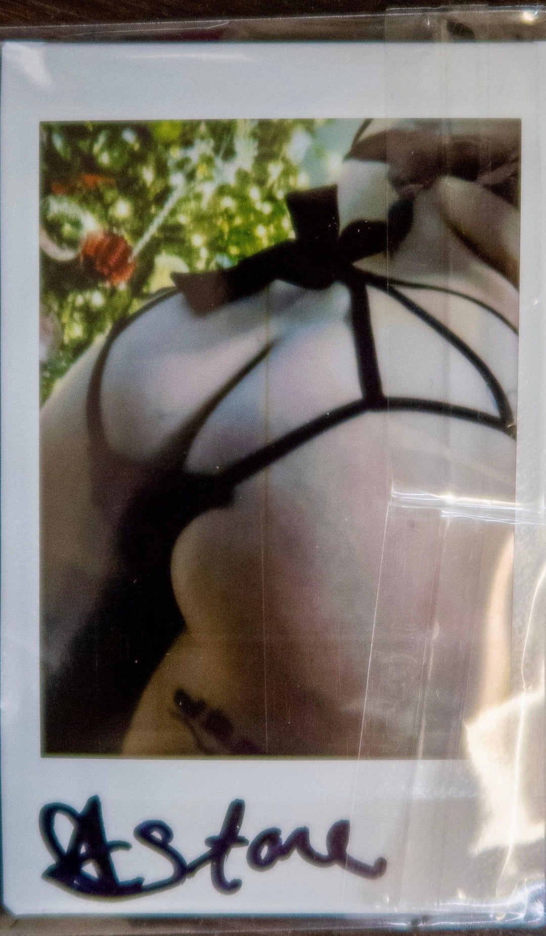 Ava Stone Black Bow Panties + Signed Polaroid - FANS UTOPIA