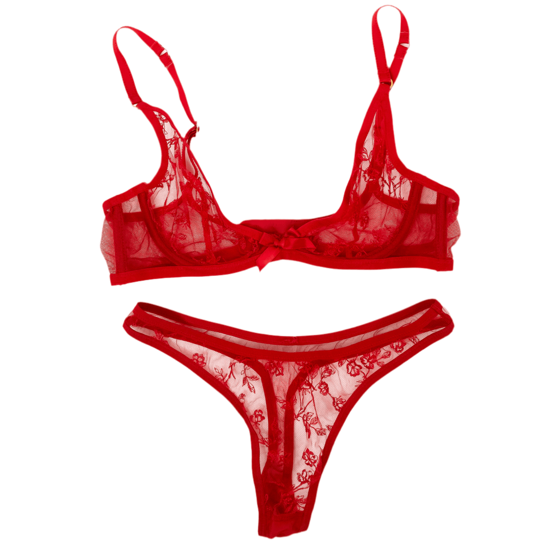 Jane Wilde Red AP Lace Bra & Panties Set