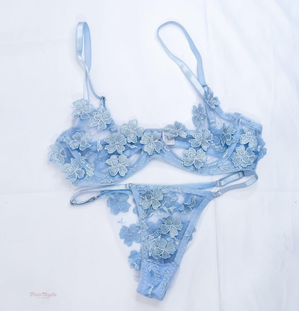 Sarah Illustrates Blue Lace Bra & Panties Set - FANS UTOPIA