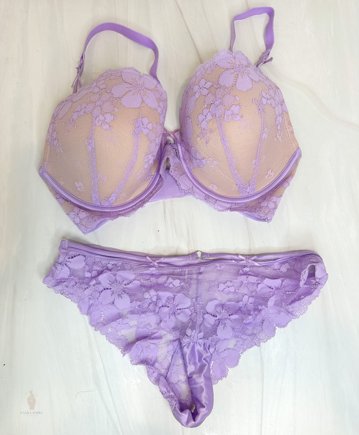 Sophia Locke Purple Bra & Panties