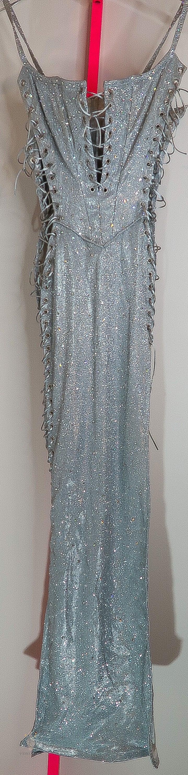 Kayley Gunner AVN Sparkle Silver Evening Gown